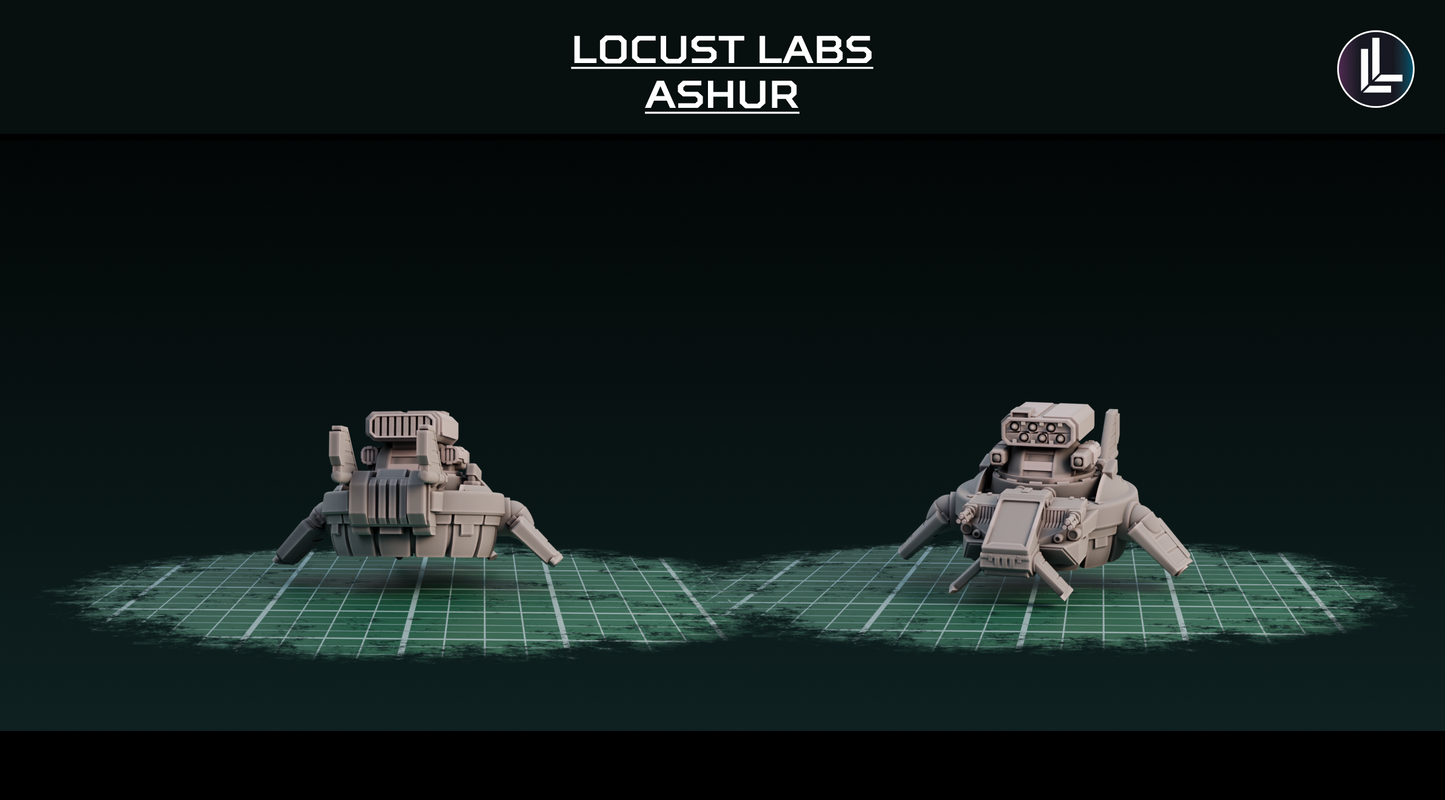 Locust Labs - Ashur