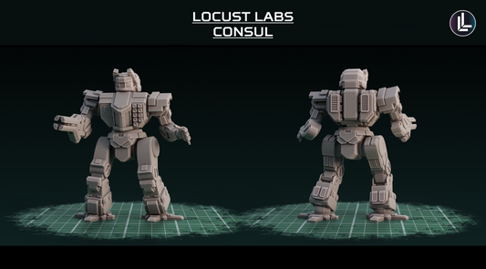 Locust Labs - Consul
