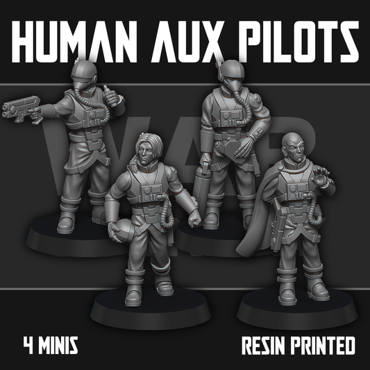 Human Auxiliary Pilots