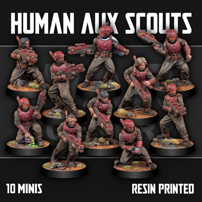 Human Auxiliary Scouts