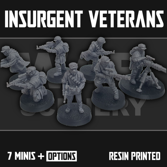 Insurgent Veterans
