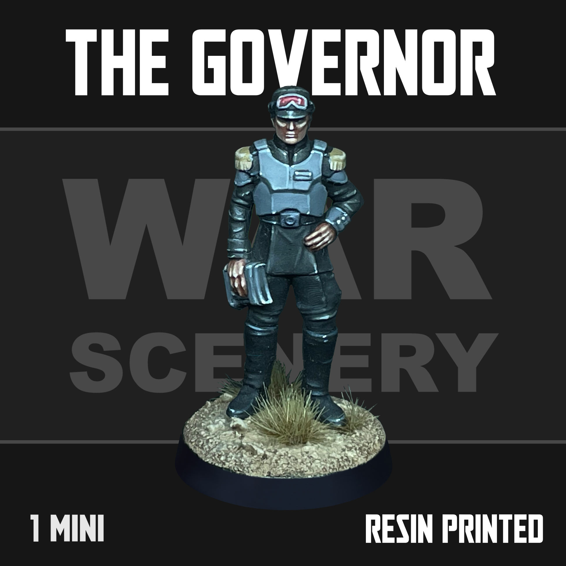 The Governor