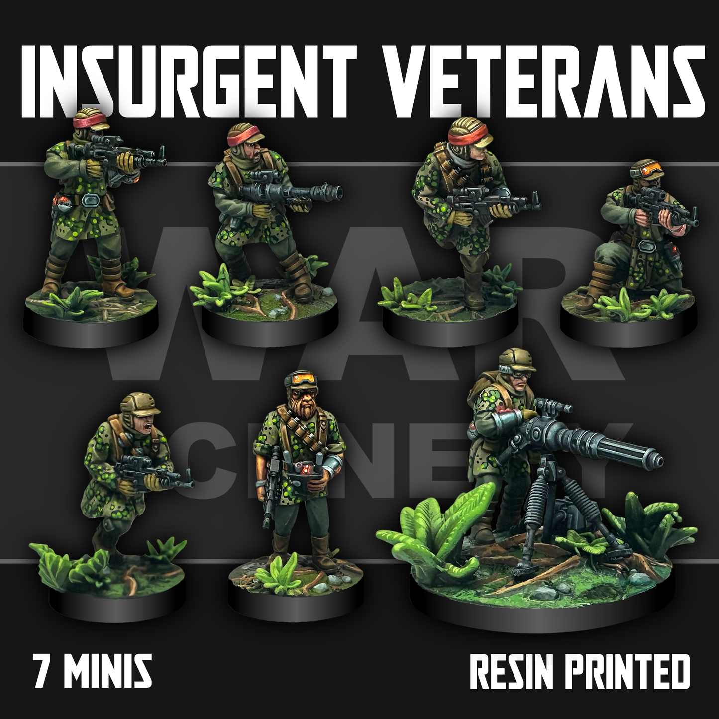 Insurgent Veterans