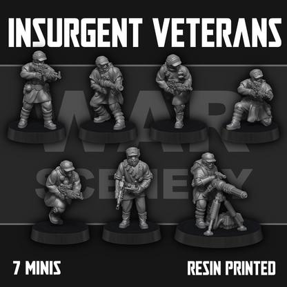Insurgent Veterans